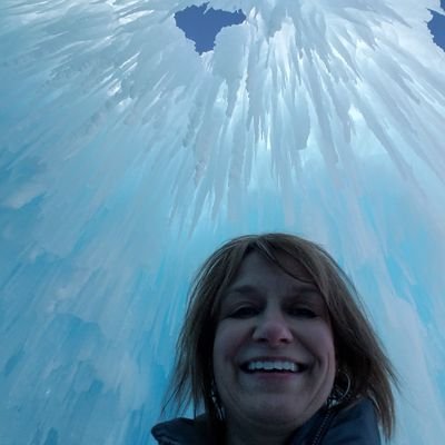 Lisafiddler's profile picture. 