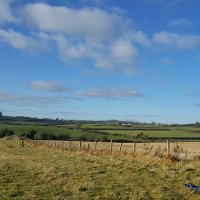 Archaeology UK/IRE (@archaeologyire) 's Twitter Profile