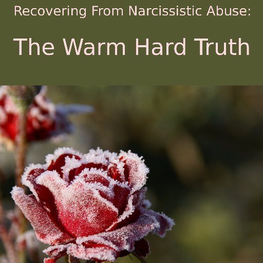 Narcissistic #abuse survivor and author of four eBooks based on my experiences and lessons I've learned. Promoting narcissist, sociopath & psychopath awareness!