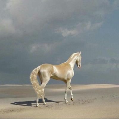 HKH55OPocVxSl9G's profile picture. التكنولوجيا