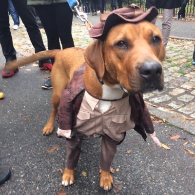 Dee88033672's profile picture. I value facts over opinion. Still a Republican but only because I believe taxes are legalized theft. I made a lot of money on Wall Street and you can’t have it.