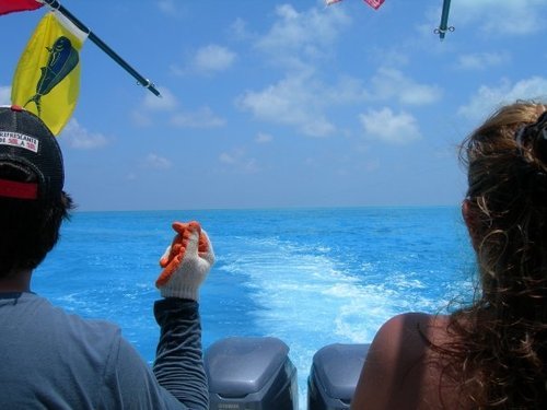 J_Peraza's profile picture. Piensa, Edita y Dilo