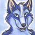 SchorseWolf (@schorsewolf) Twitter profile photo SchorseWolf (@schorsewolf) Twitter profile photo