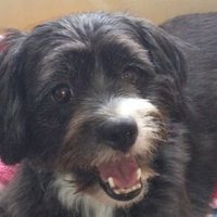 池田尚史・KYUU 津久井湖 (@37kyu) 's Twitter Profile