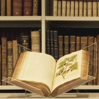 Kew Gardens Library and Archives(@Kew_LAA) 's Twitter Profile Photo