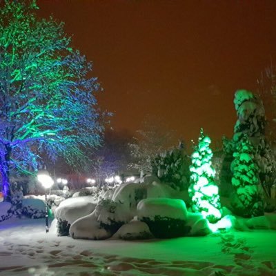 husamabi's profile picture. 