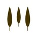 LesJardinsDeStCloud (@jardinsstcloud) Twitter profile photo LesJardinsDeStCloud (@jardinsstcloud) Twitter profile photo