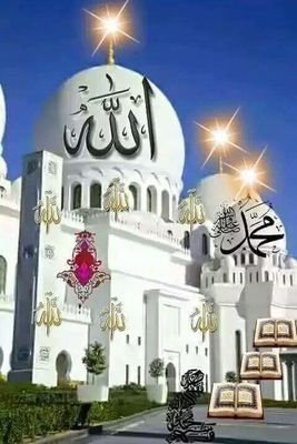 bidamusb's profile picture. 