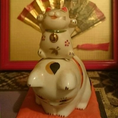 nesanossan's profile picture. 