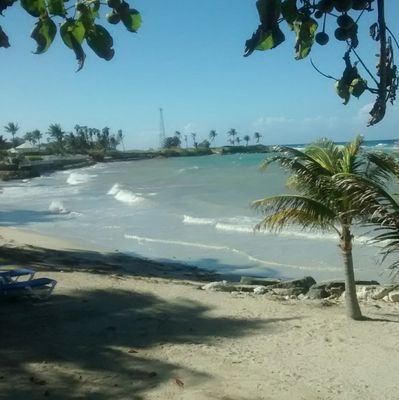 riprap11's profile picture. 