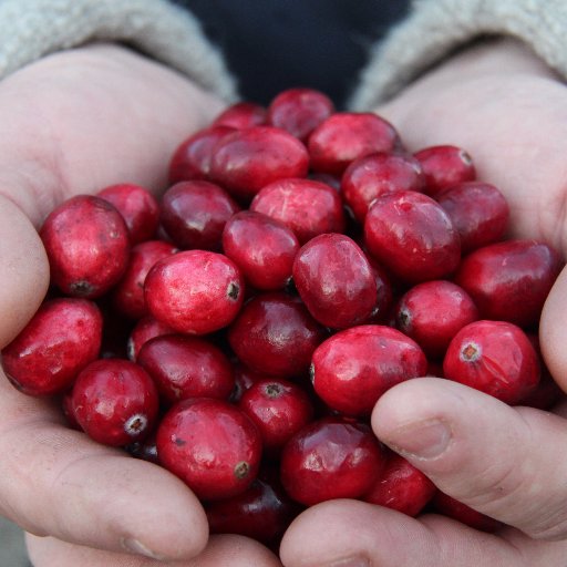 Local food & wine with a cranberry twist! Open 362 days/year! We love sharing our passion for cranberries.