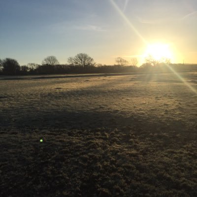 TessaMulhall's profile picture. 