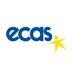 ECAS NGO (@ecas_europe) Twitter profile photo