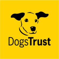 Dogs Trust Canterbury(@DT_Canterbury) 's Twitter Profile Photo