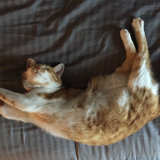 santi9010's profile picture. 