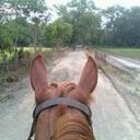 vera clement - @verahclement - Twitter