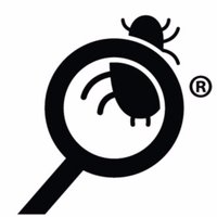 Nexles (@nexlescom) 's Twitter Profile