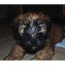 Darren Ito - @darren_ito - Twitter