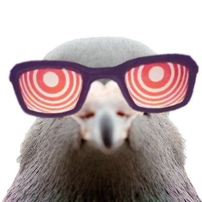 simonwaserman's profile picture. Pigeon lover. Does nothing else.