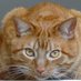 LeChatMasque (@buechelejonker) Twitter profile photo LeChatMasque (@buechelejonker) Twitter profile photo