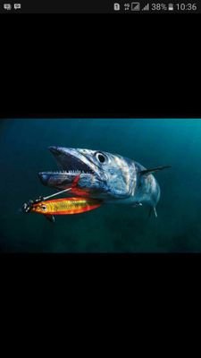 bocil_gemes's profile picture. 😎