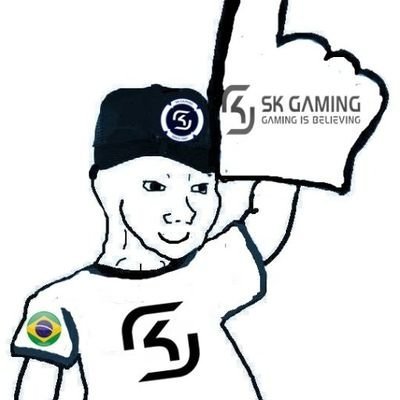 CS:GO , Torcedor da @SKGaming , @Immortals , @Luminosity , @Orbitgg ... Times BRs