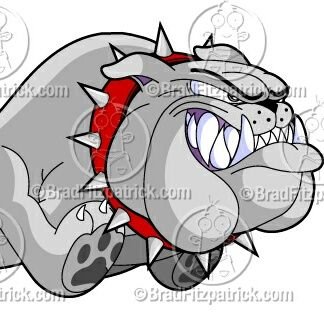 Bowie XC & Track Profile