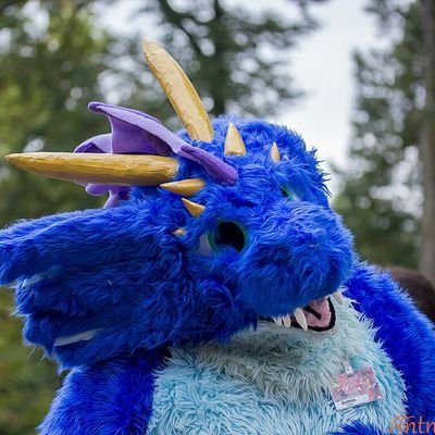Silly fuzzy blue dragon. likes all kinds of stuff from dragon items to car.