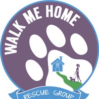 Walk Me Home Rescue - Foster Based Dog Rescue(@WalkMeHome_RG) 's Twitter Profileg