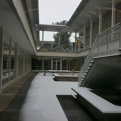 nancy_poehlmann's profile picture. Rare books librarian, medievalist, author of scholarly and not-so scholarly things