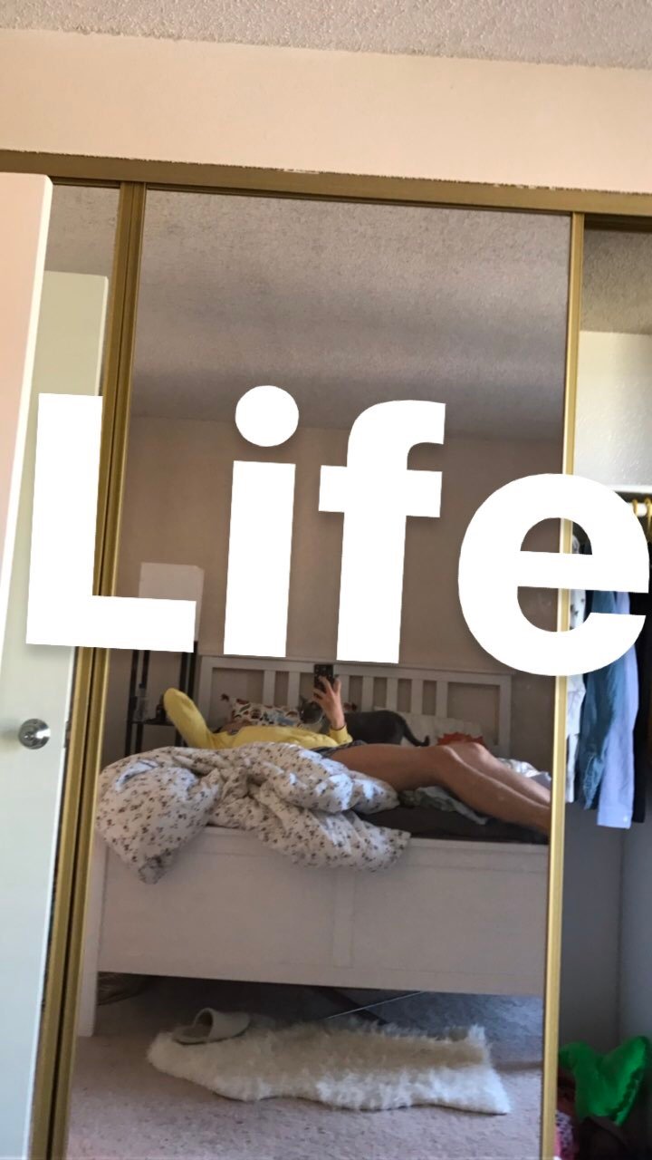 Pedroatethesun's profile picture. 