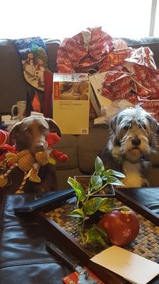 justiceplunger's profile picture. 