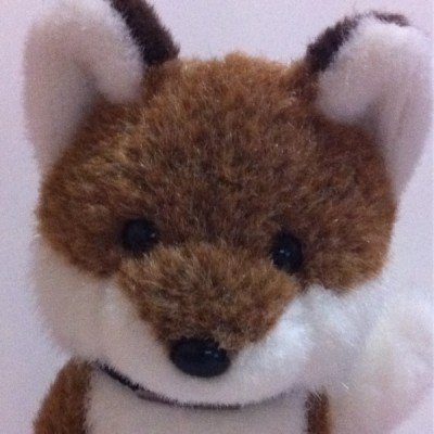 Kitsuneno's profile picture. 狐、込山尻守之大御神、ヘッドホンアンプ、電源は12V、サイバーイグアナ