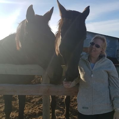 CLowigus's profile picture. 