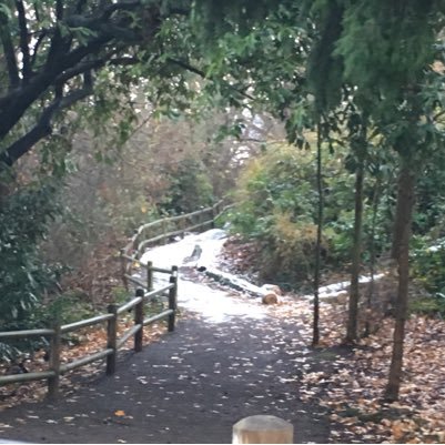 Bugout456's profile picture. 