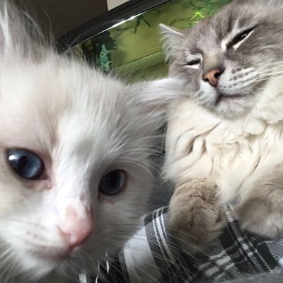 GFIN2404's profile picture. 