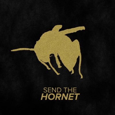 sendthehornet's profile picture. The God who goes before us.