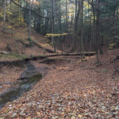 holly_oakes2's profile picture. 