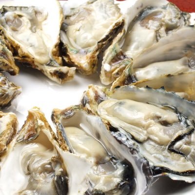 kakigoya_kyoto's profile picture. 春夏秋冬問わず年中牡蠣が食べ放題！！お問い合わせも承ります♪ TEL：075-252-5705