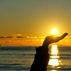 Aiesha_agatha's profile picture. 