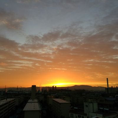 momokarawasabi's profile picture. アジング大好き🐟🎣ネコ好き🐱自動車整備士🧑‍🔧運行管理者🚛ずっとクルマに関わる仕事してます。 🎣🐈‍⬛🚁📷🧽🚗🇯🇵   #オリムピックコルト 偏愛家