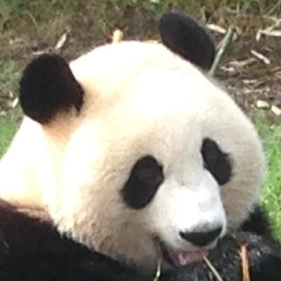 bbssl's profile picture. 大人に成りきれない！初老中年のつぶやき！！