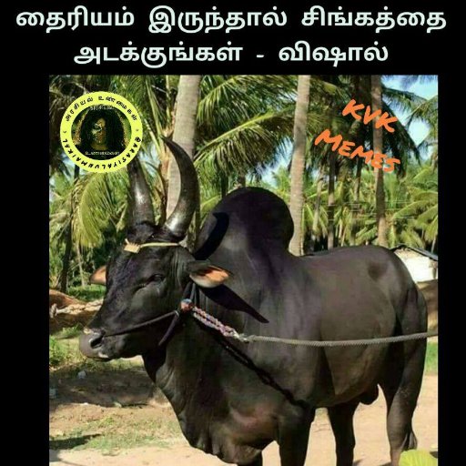 RomanPearce07's profile picture. 