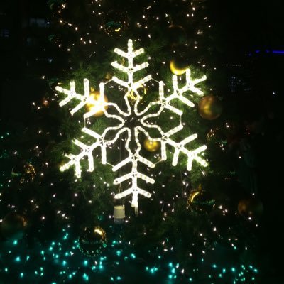 部屋の模様替えが好きで、インテリア雑貨や本を見たりするのが大好きです。お洒落も大好きで、お休みはショッピング、カフェ巡りをしています。