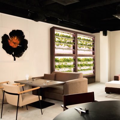 SaladWall's profile picture. We use Japanese technology to seamlessly integrate agriculture into restaurants, offices, and homes. Check out our newest product Salad Wall!