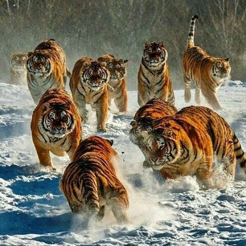 inside_tale's profile picture. Advertise your website with https://t.co/aVCZgNqPzm. https://t.co/Bcgs5kRwAT
https://t.co/BkOwKwBOQr