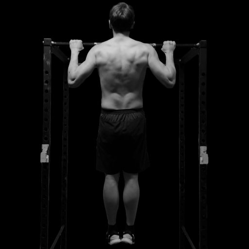 pullup_bar's profile picture. I've lost 50lbs with calisthenics and fell in love with the bar. Watch me on youtube: https://t.co/5pv0ey8aCq
