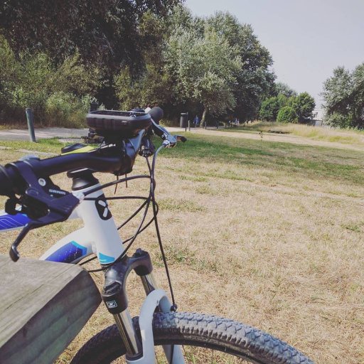 Cuncheiro's profile picture. 