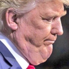 PotusOrPetulant's profile picture. Trump's tweets, translated to show how petulant and thin skinned he is.
Sad!