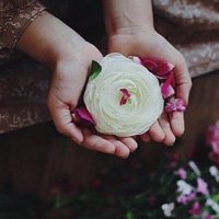 🕊️HUDA (@hhuda_11) 's Twitter Profile